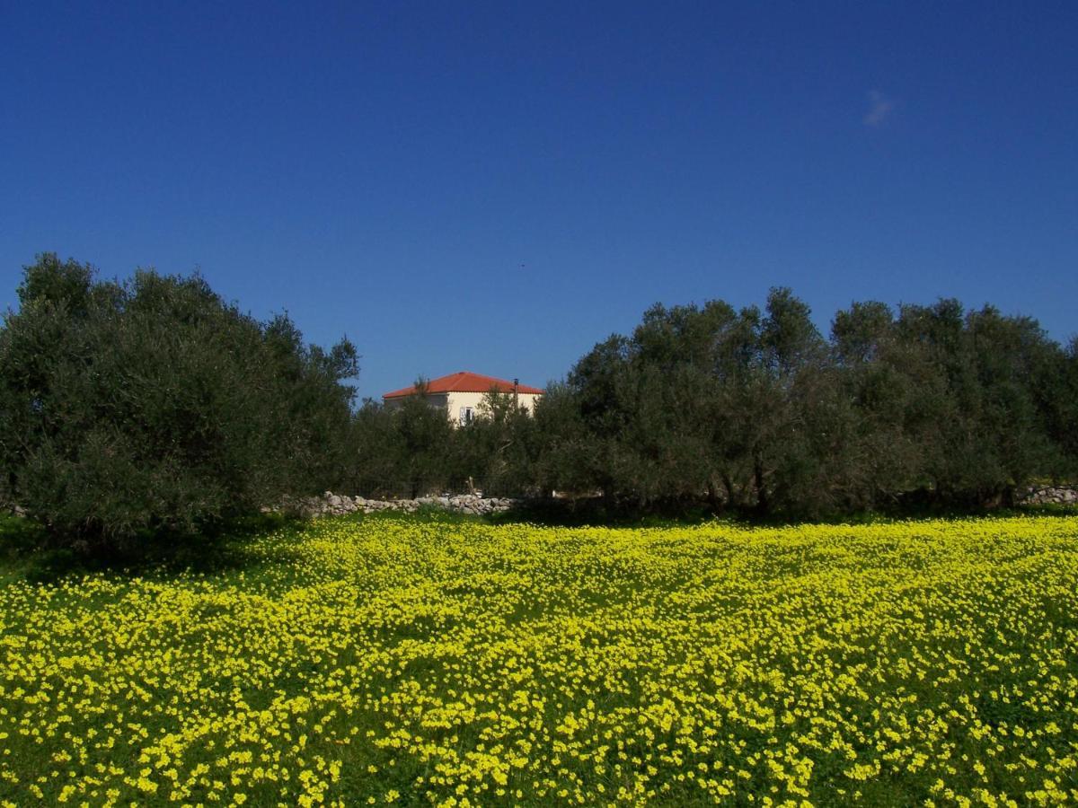 Manolo S Olive Farm, Apartment With Seaview Ханья Экстерьер фото