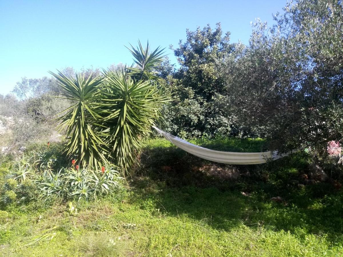 Manolo S Olive Farm, Apartment With Seaview Ханья Экстерьер фото