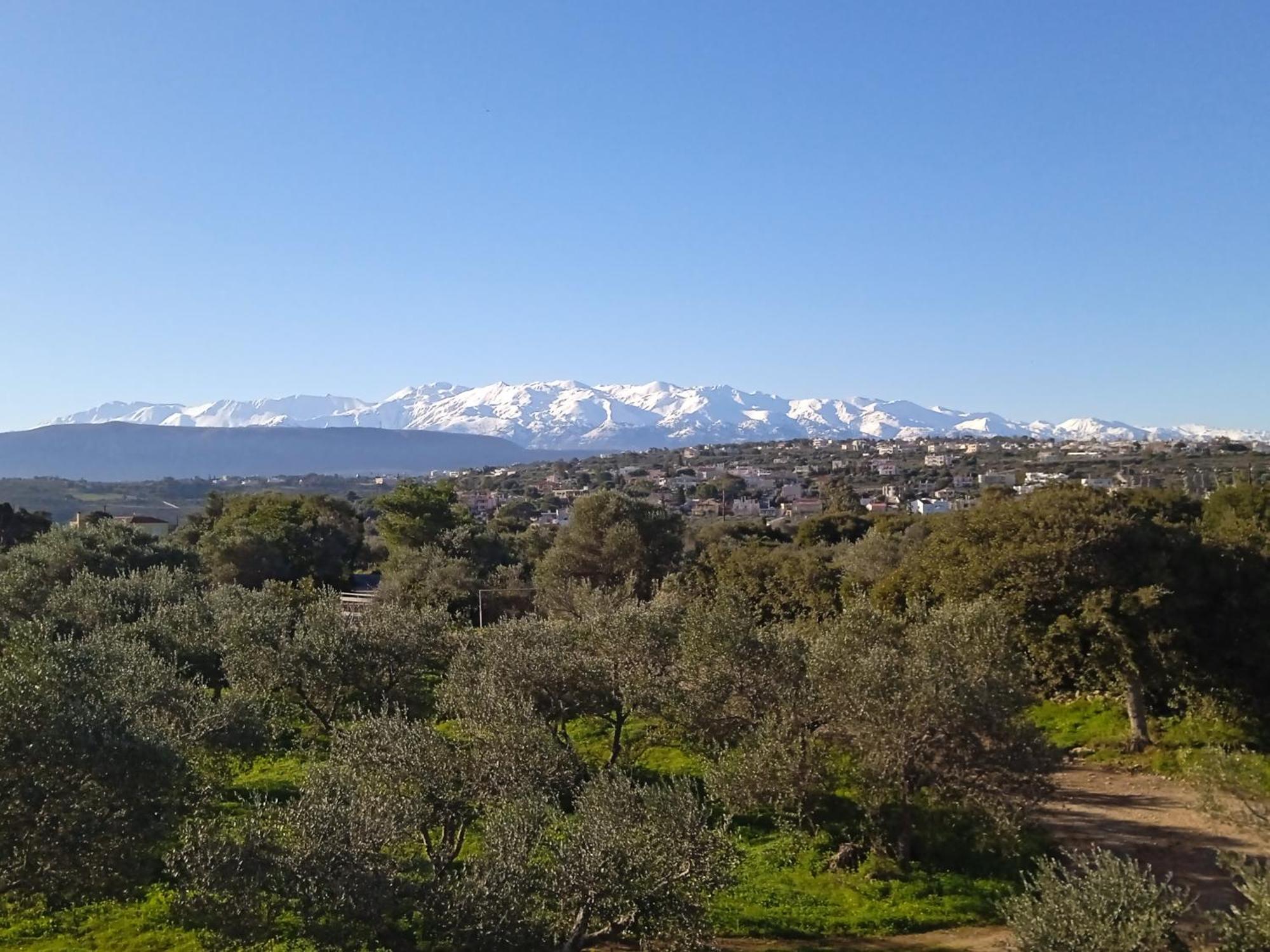 Manolo S Olive Farm, Apartment With Seaview Ханья Экстерьер фото